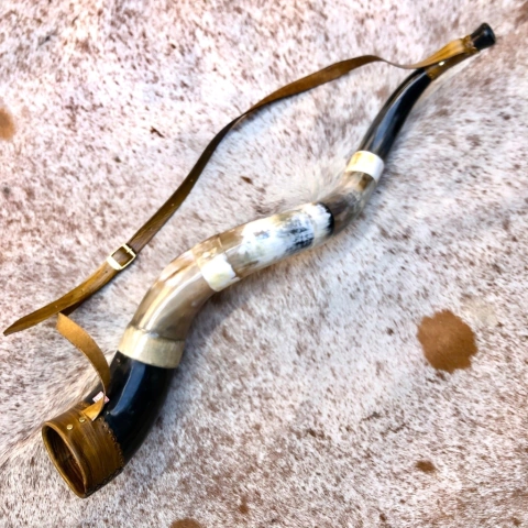 Berrante AGRIZZI - REF 730