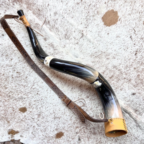 Berrante Agrizzi - Duas emendas REF 1065