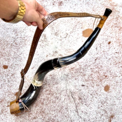 Berrante Agrizzi - REF 862 on internet