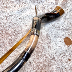 Berrante Agrizzi - REF 760 - buy online