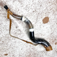 Berrante Agrizzi - REF 1060 on internet