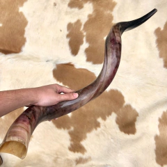 Shofar - 85 cm - tienda online