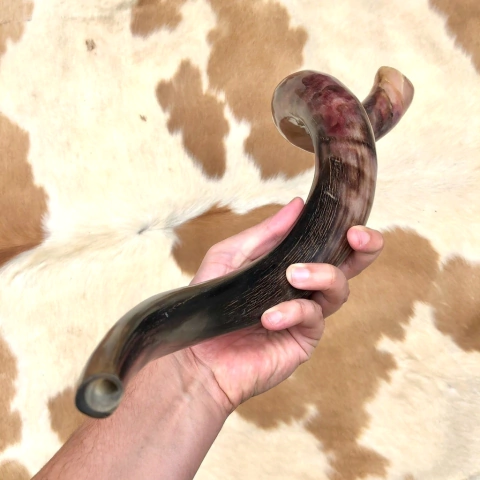 Shofar - 100cm - ( COM BOCAL DE BERRANTE