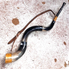 Berrante Agrizzi RARO - Duas emendas - Berrantes Agrizzi 