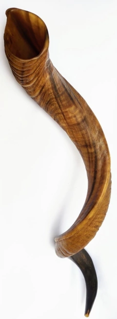 Imagen de shofar 122.5cm -