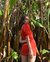 Vestido Cereza - comprar online