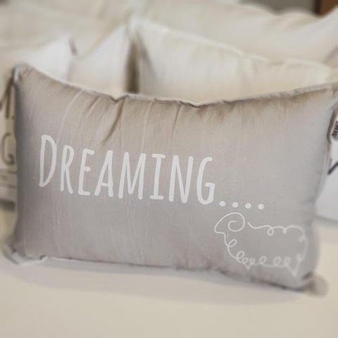 Almohadon Frases 30x50