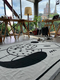 Imagen de MANTA AQUILES - A BENEFICIO CASA RONALD