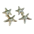Brinco de Estrelas do Mar Douradas Pendurado