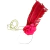 Presilha Tiara com Rosa e Pena Colorida para Festa Fantasia