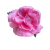 Presilha de Rosa Colorida Pequena com Pedra para Penteado