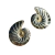 Brinco de concha caracol dourado acetinado com detalhes em espiral.