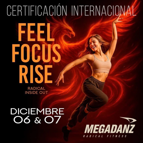 Argentina y demás países de LATAM - Cert de MEGADANZ ® - comprar online