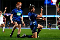 Camiseta de rugby, Blues Nueva Zelanda en internet