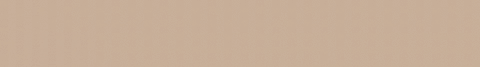 Banner de la categoría Texanas y Botas