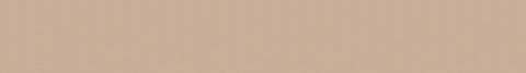 Banner de la categoría Zapatos