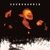 Soundgarden / Superunknown (2 Lp)