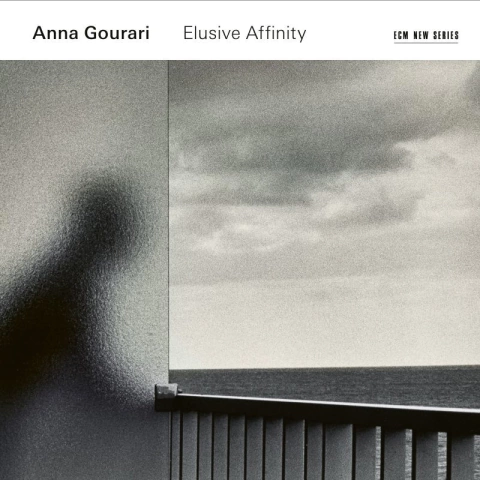 ANNA GOURARI / ELUSIVE AFFINITY