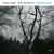 TOMASZ STANKO NEW YORK QUARTET / DECEMBER AVENUE