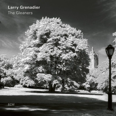 LARRY GRENADIER / THE GLEANERS (Vinilo)