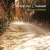 Graciela Volodarski – Aires del Camino
