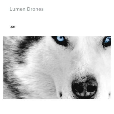 NILS ØKLAND, PER STAINER LIE, ØRJAN HAALAND / LUMEN DRONES