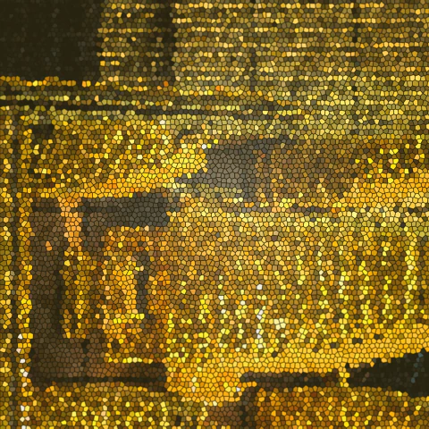 SPRINTERS – STRUCK GOLD