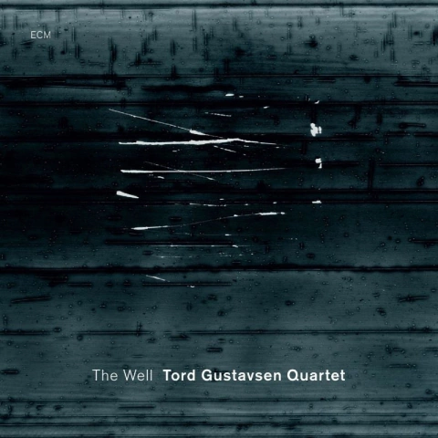 TORD GUSTAVSEN QUARTET / THE WELL