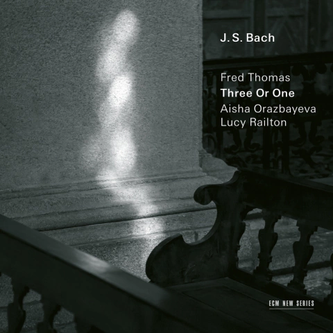 FRED THOMAS, AISHA ORAZBAYEVA, LUCY RAILTON / THREE OR ONE
