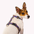Arnés Afortunadxs - Morris - Accesorios para perros