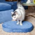 Cama Pill Azul - comprar online
