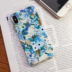 Delphi - Antigolpe en internet