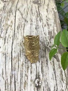 anillo de corteza dorado, pina