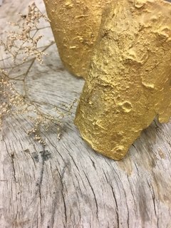 brazalete pina