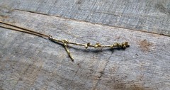 collar chito largo, ramita de bronce - comprar online