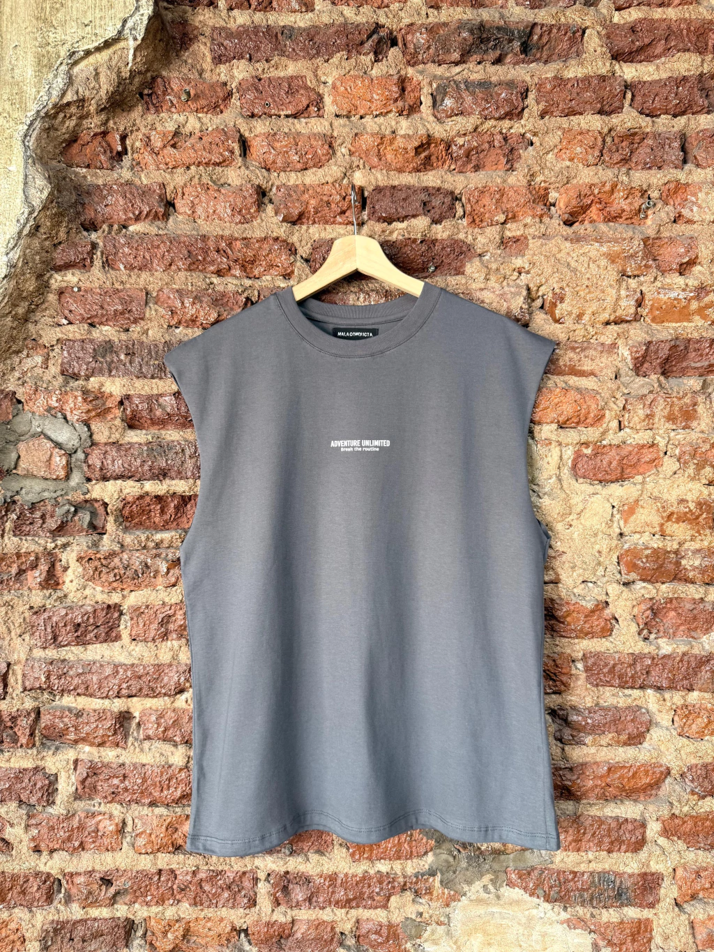 Sudadera ADVENTURE (Gris)