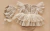 Conjunto Rebeca