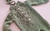 Conjunto Oliveiras - comprar online