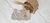 Colete Corda - comprar online