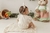 Conjunto Bia - loja online