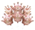 Globo Corona en Rosa Gold 60cm