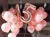 Globos de números 32" (75cm aprox) Rosa Gold - comprar online