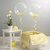 1 Globo burbuja, sin decoración - comprar online