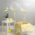 1 Globo burbuja, sin decoración - comprar online