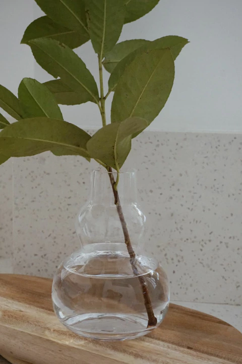 FLORERO BUBBLE - comprar online