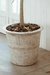 MACETA ROMA - comprar online