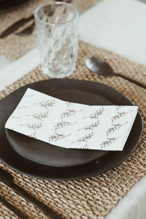 SET DE SERVILLETAS DE PAPEL BOTÁNICO X 25