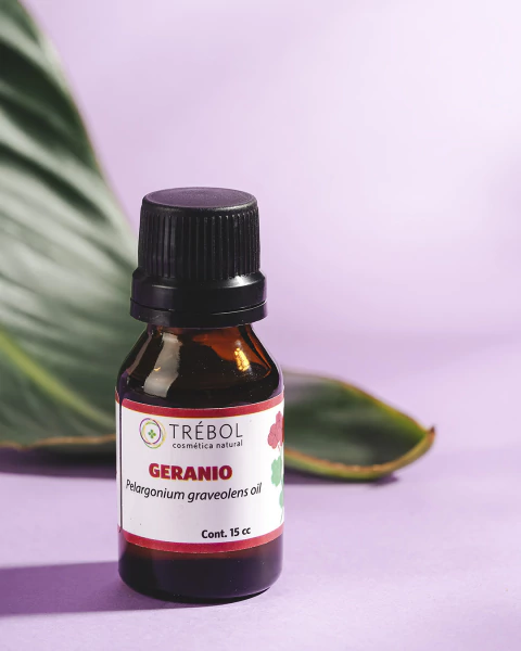 Geranio - comprar online
