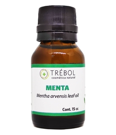 Menta en internet