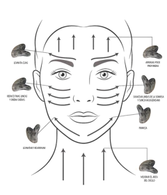 Gua sha - Corazón de bardiglio - comprar online